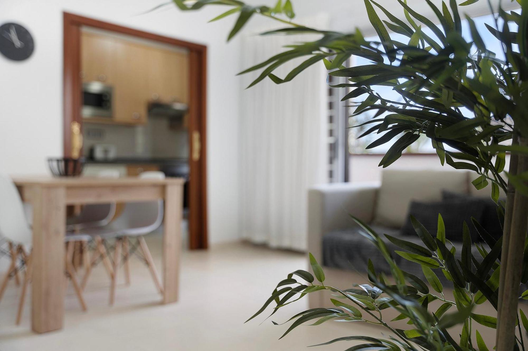 Apartamento Opuntia ラ・オロタバ エクステリア 写真